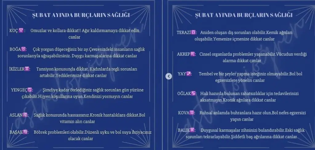 şuıbayt1.webp