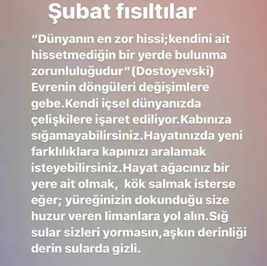 şuıbayt1.webp
