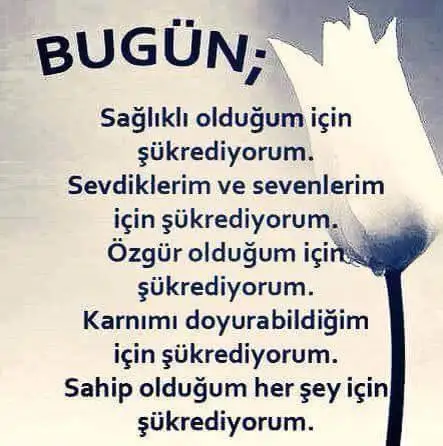 sukur.webp