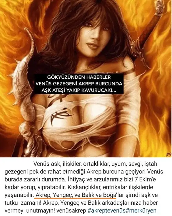 şule d1.webp