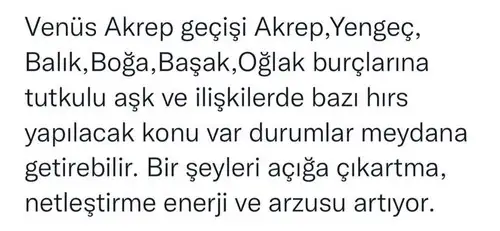 şule d2 (1).webp