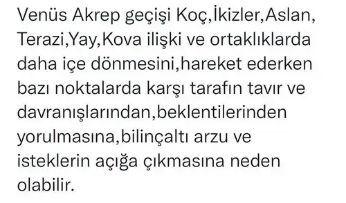 şule d2 (2).webp
