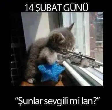 şunlar-sevgili-mi-lan.webp