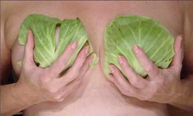 sut_agrisi.webp