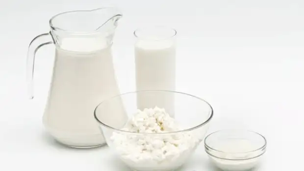 sut_yogurt_probiyotik.webp
