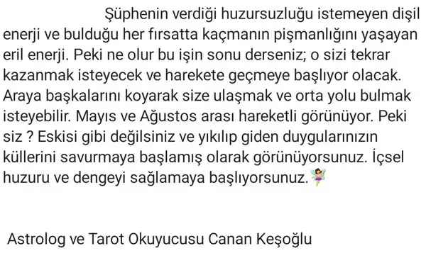 t (14).webp
