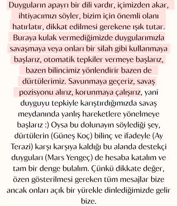 t (7).webp