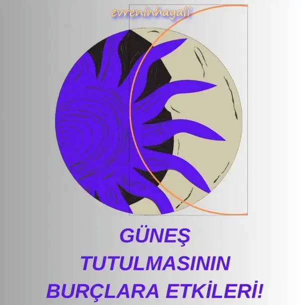 t0 (1).webp