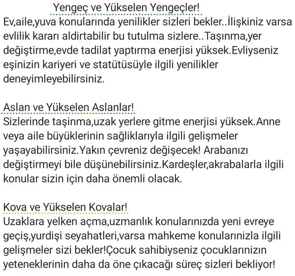 t0 (10).webp