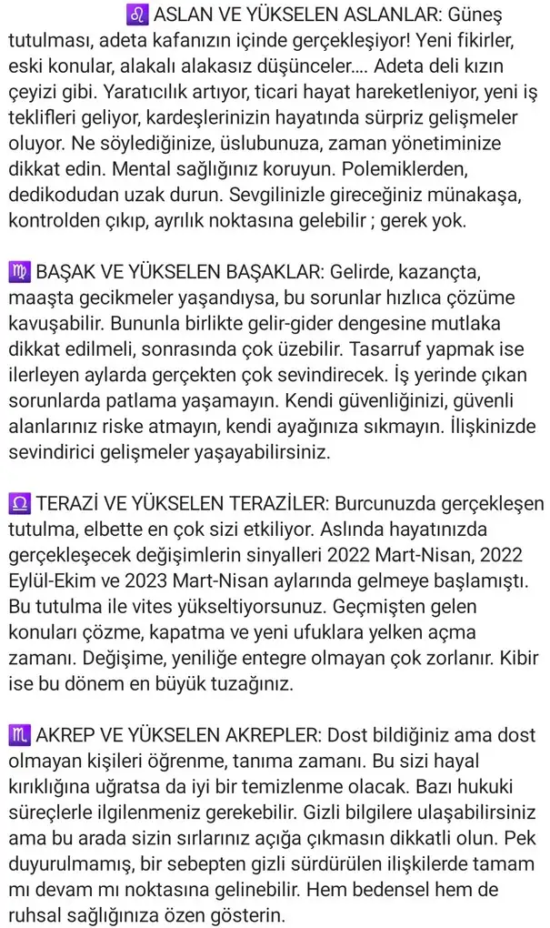 t0 (3).webp