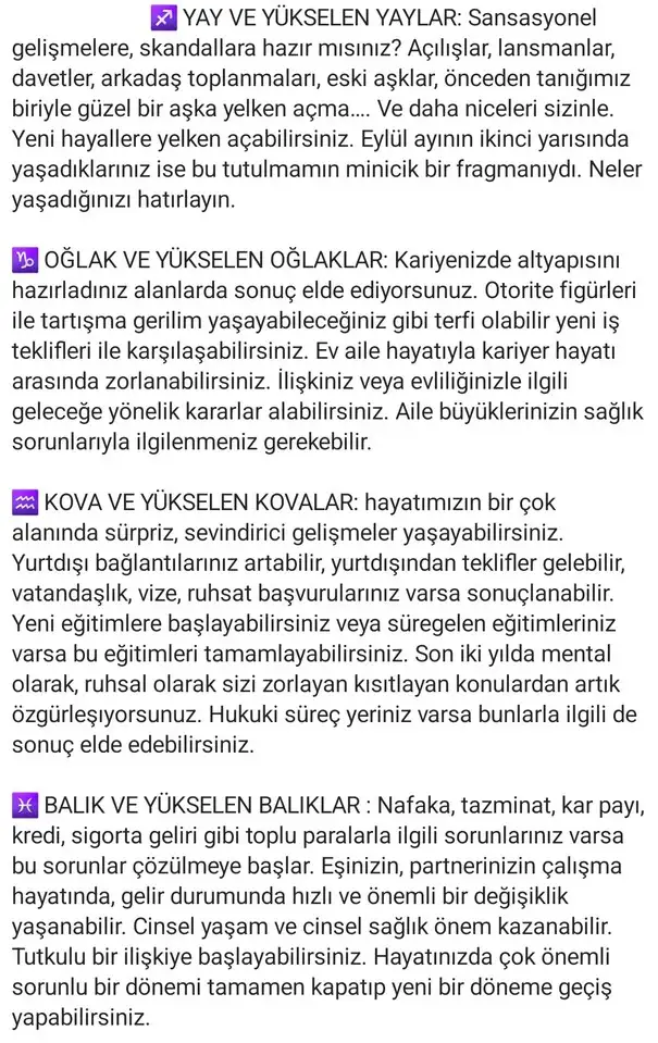 t0 (4).webp