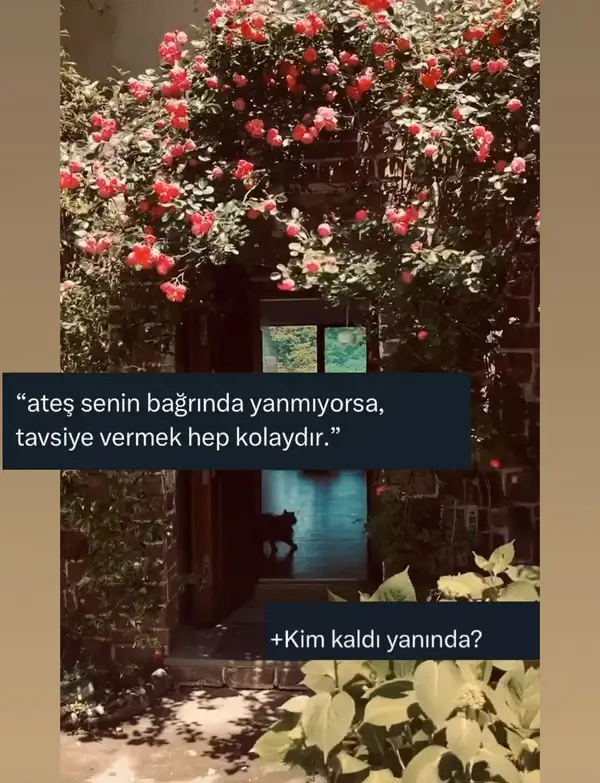 t0.webp