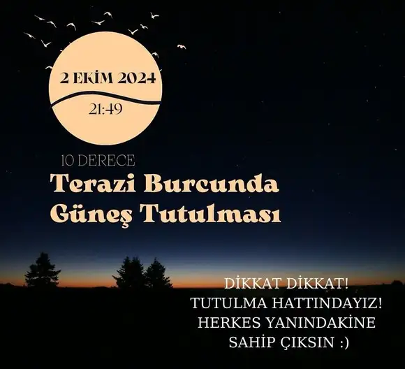 t1 (1).webp