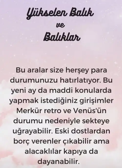 t1 (13).webp