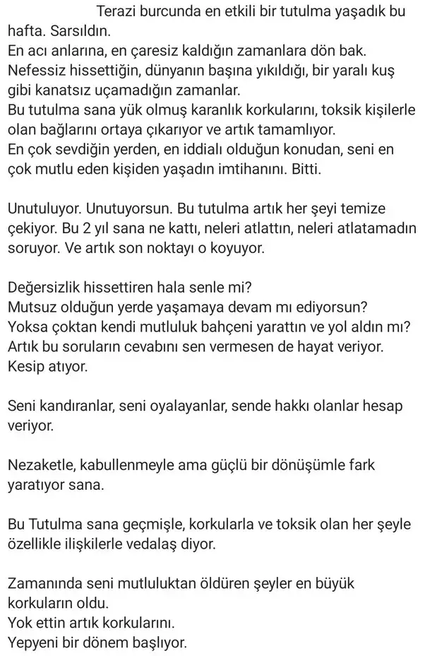 t1 (2).webp