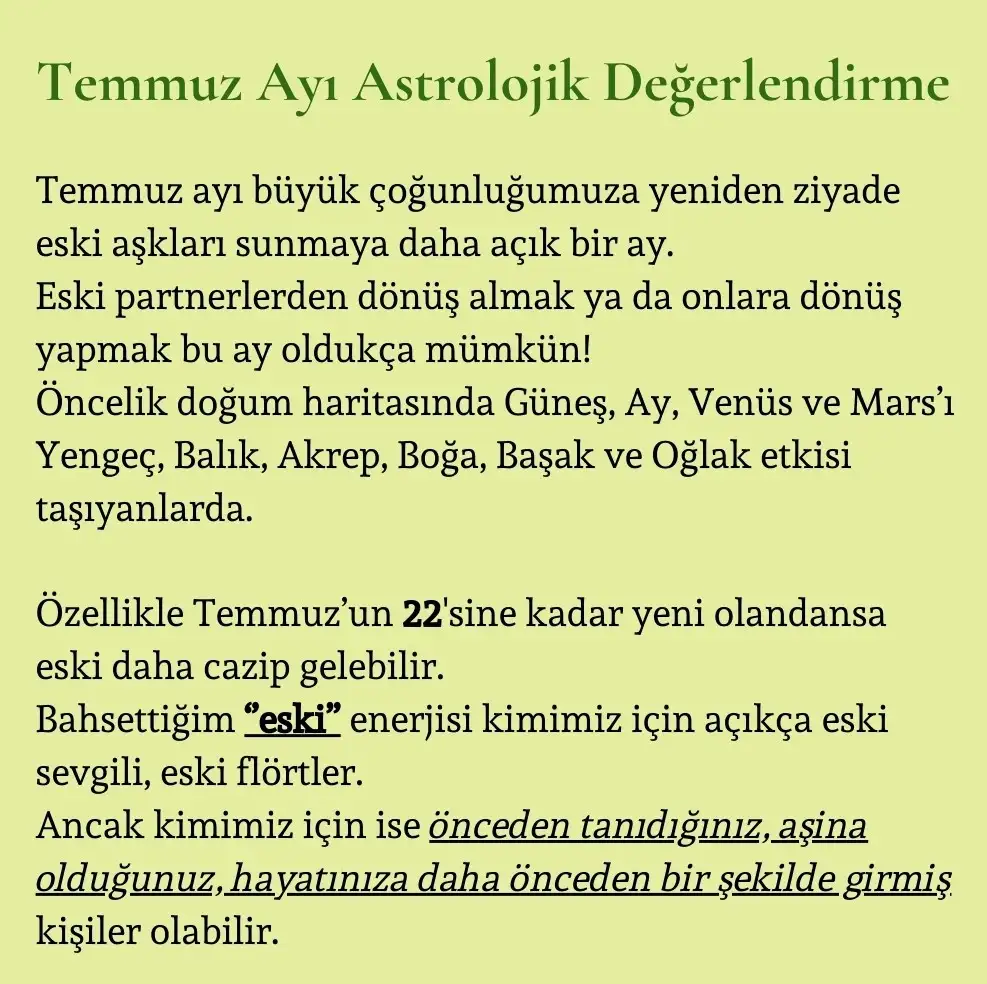 t1 (2).webp