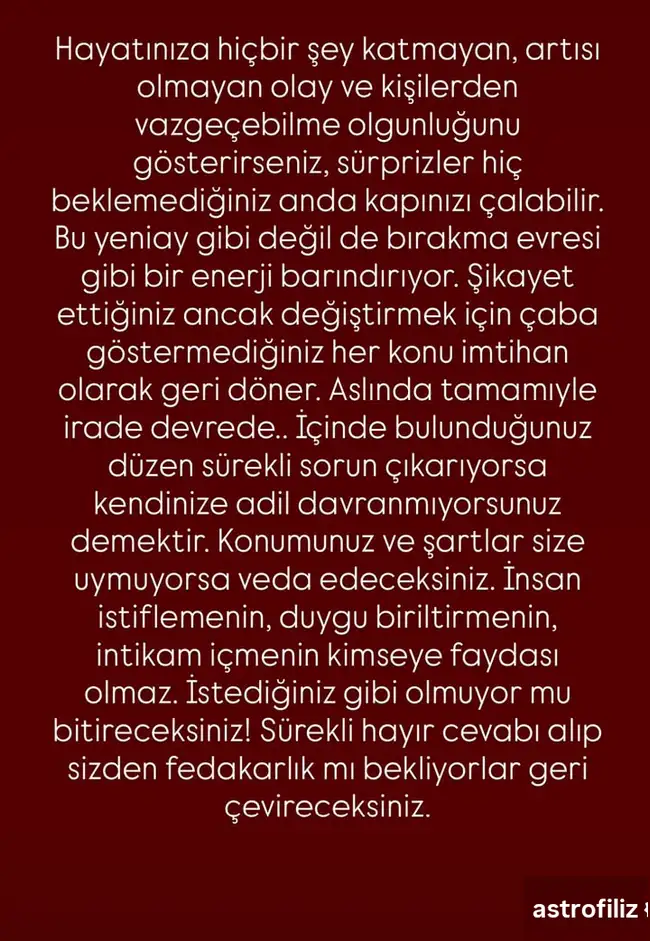 t1 (2).webp