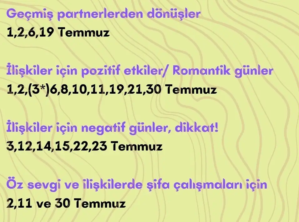 t1 (5).webp