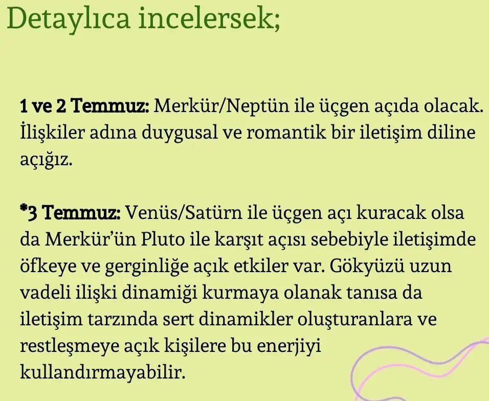 t1 (6).webp