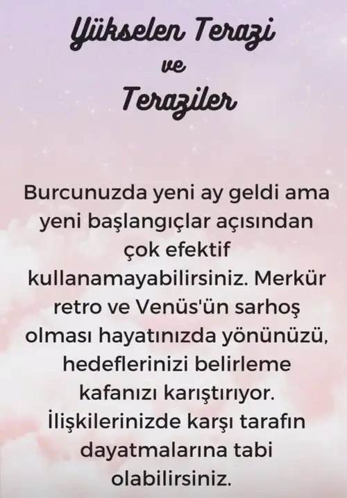 t1 (8).webp