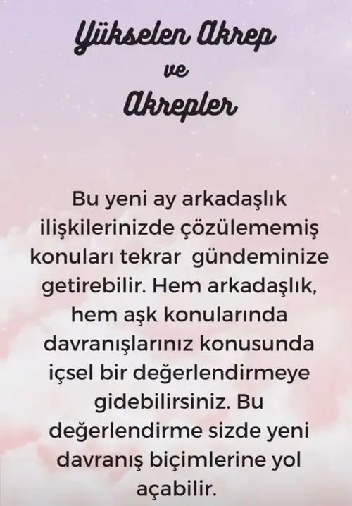 t1 (9).webp