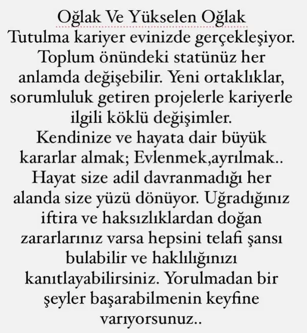 t10 (10).webp