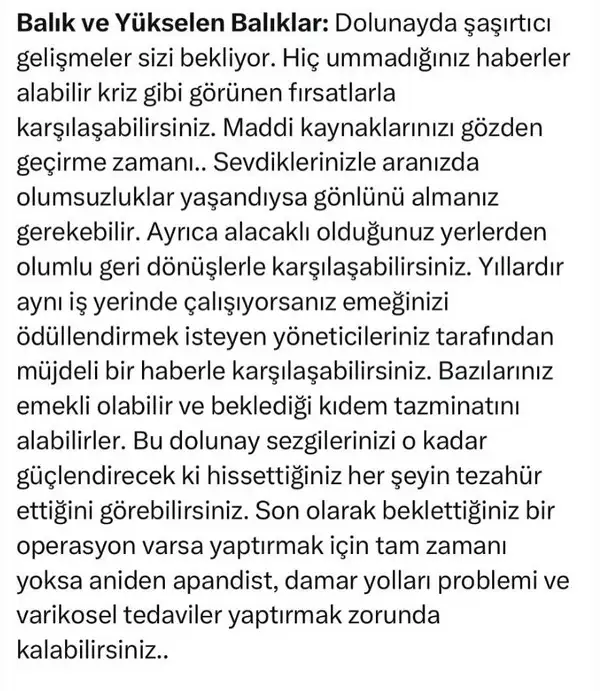 t10 (11).webp