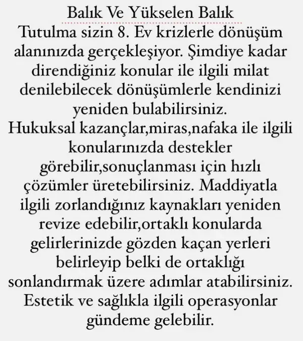 t10 (12).webp