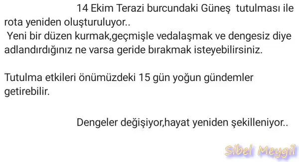 t10 (13).webp