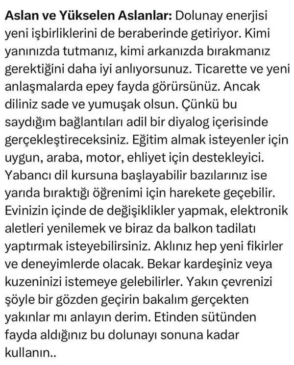 t10 (5).webp