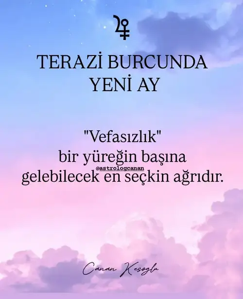 t10.webp