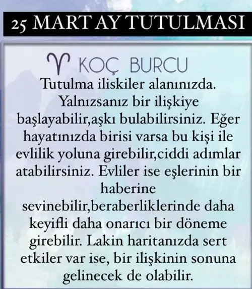 t11 (1).webp
