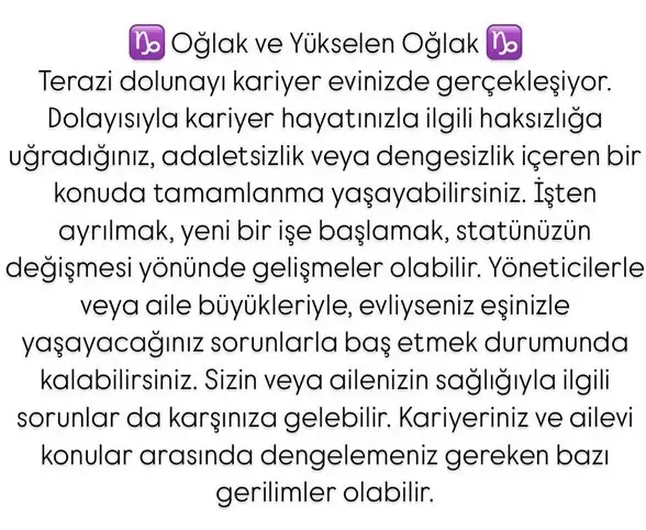 t11 (11).webp