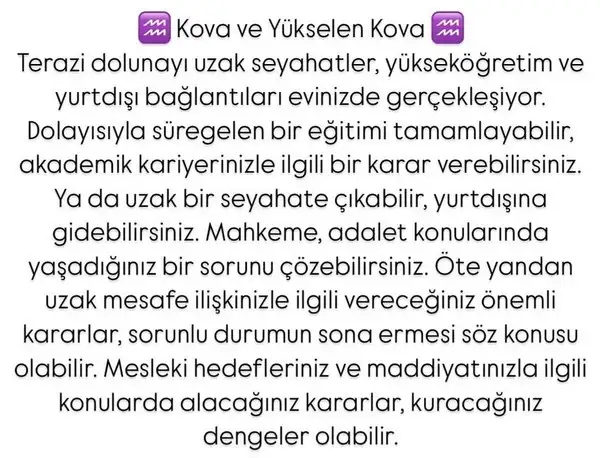 t11 (12).webp