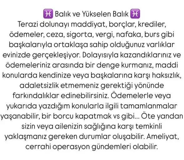 t11 (13).webp