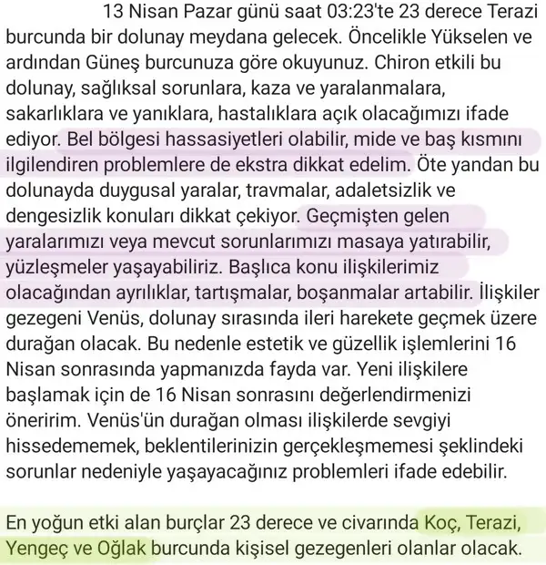 t11 (14).webp