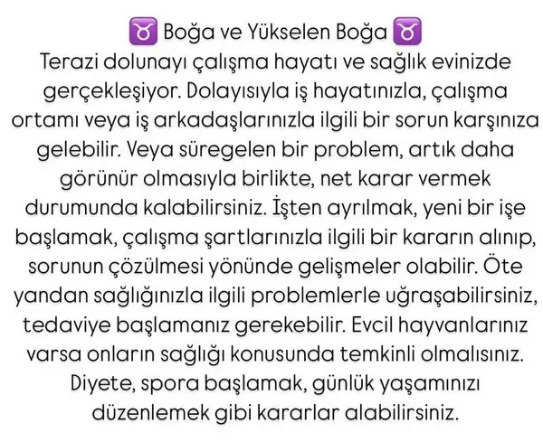 t11 (3).webp