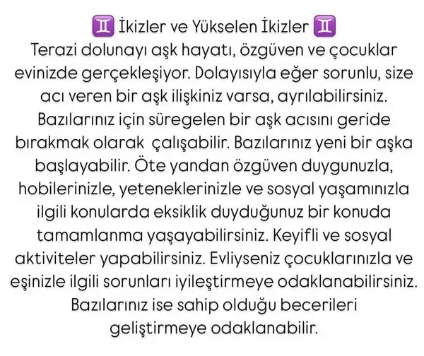 t11 (4).webp