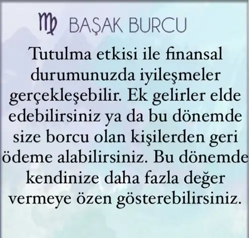 t11 (6).webp