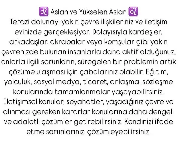 t11 (6).webp