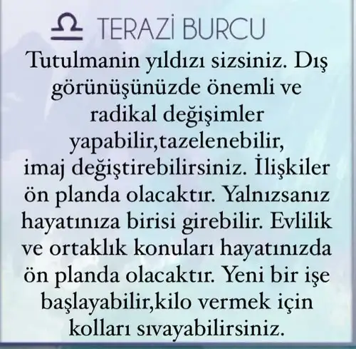 t11 (7).webp
