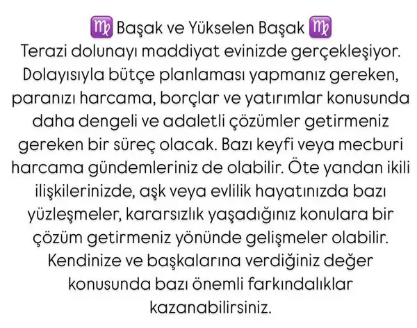 t11 (7).webp