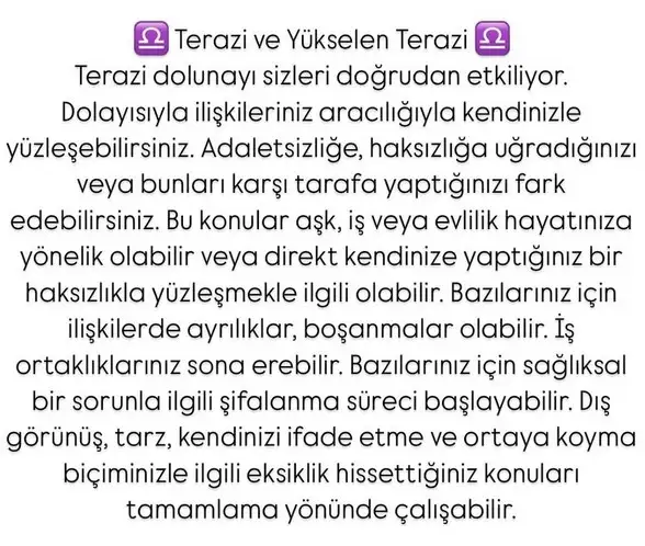 t11 (8).webp