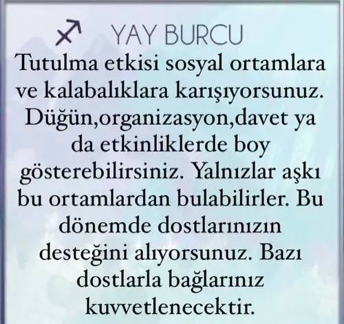 t11 (9).webp