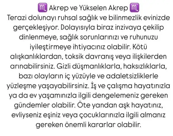t11 (9).webp