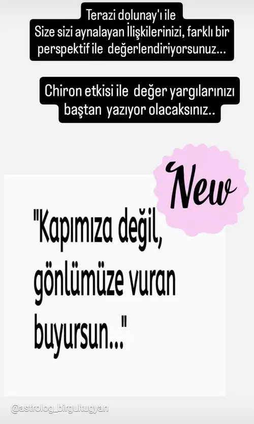 t11.webp