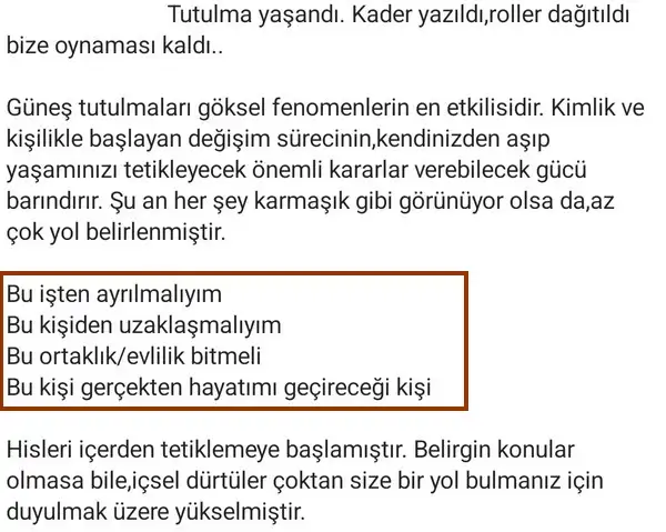 t12 (2).webp