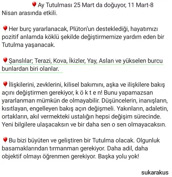 t12.webp