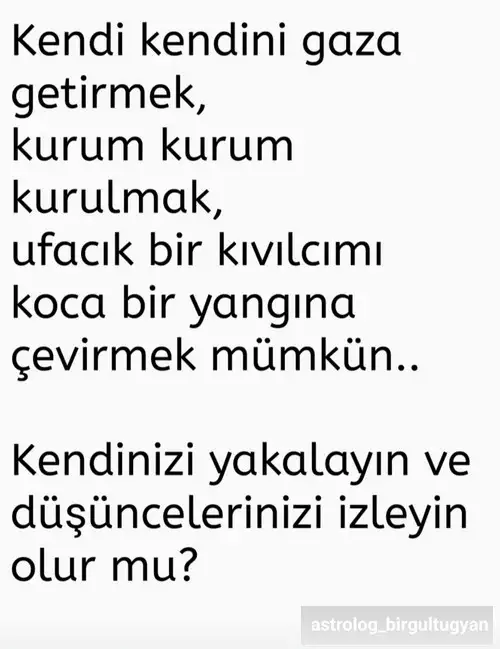 t12.webp