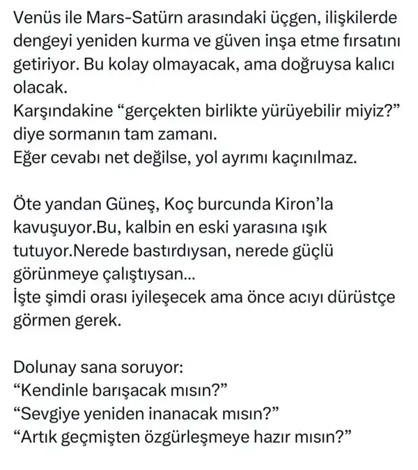t13 (2).webp